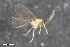  ( - ZFMK-TIS-2549487)  @11 [ ] CreativeCommons  Attribution Share-Alike (by-sa) 4.0  Unspecified Zoologisches Forschungsmuseum Alexander Koenig