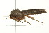  ( - 10MA-0011)  @12 [ ] CreativeCommons - Attribution (2010) CBG Photography Group Centre for Biodiversity Genomics