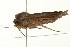  ( - 10MA-0015)  @12 [ ] CreativeCommons - Attribution (2010) CBG Photography Group Centre for Biodiversity Genomics