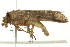  ( - 10MA-0019)  @12 [ ] CreativeCommons - Attribution (2010) CBG Photography Group Centre for Biodiversity Genomics