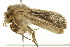  ( - 10MA-0025)  @12 [ ] CreativeCommons - Attribution (2010) CBG Photography Group Centre for Biodiversity Genomics