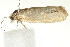  ( - 10MA-0074)  @12 [ ] CreativeCommons - Attribution (2010) CBG Photography Group Centre for Biodiversity Genomics