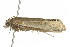  ( - 10MA-0080)  @12 [ ] CreativeCommons - Attribution (2010) CBG Photography Group Centre for Biodiversity Genomics