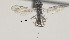  ( - CCDB-38200-C04)  @11 [ ] CreativeCommons Attribution ShareAlike (2023) (2023) M J Sharkey Research Collection of Michael Sharkey