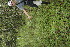  ( - BioBot05003)  @11 [ ] Copyright (2010) Unspecified Unspecified