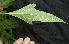  ( - BioBot05003)  @11 [ ] Copyright (2010) Unspecified Unspecified