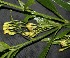  ( - BioBot05008)  @11 [ ] Copyright (2010) Unspecified Unspecified