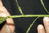  ( - BioBot05008)  @11 [ ] Copyright (2010) Unspecified Unspecified