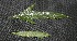  ( - BioBot05008)  @11 [ ] Copyright (2010) Unspecified Unspecified