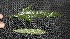  ( - BioBot05008)  @11 [ ] Copyright (2010) Unspecified Unspecified