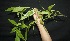  ( - BioBot05009)  @11 [ ] Copyright (2010) Unspecified Unspecified