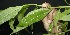  ( - BioBot05009)  @11 [ ] Copyright (2010) Unspecified Unspecified