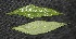  ( - BioBot05009)  @11 [ ] Copyright (2010) Unspecified Unspecified
