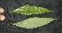 ( - BioBot05009)  @11 [ ] Copyright (2010) Unspecified Unspecified