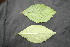  ( - BioBot05027)  @11 [ ] Copyright (2010) Unspecified Unspecified
