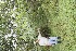  ( - BioBot05028)  @11 [ ] Copyright (2010) Unspecified Unspecified