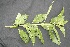  ( - BioBot05028)  @11 [ ] Copyright (2010) Unspecified Unspecified