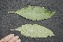  ( - BioBot05028)  @11 [ ] Copyright (2010) Unspecified Unspecified