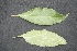  ( - BioBot05028)  @11 [ ] Copyright (2010) Unspecified Unspecified