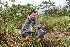  ( - BioBot10106)  @11 [ ] Copyright (2010) Unspecified Unspecified