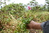  ( - BioBot10106)  @11 [ ] Copyright (2010) Unspecified Unspecified