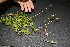  ( - BioBot10106)  @11 [ ] Copyright (2010) Unspecified Unspecified