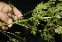  ( - BioBot10106)  @11 [ ] Copyright (2010) Unspecified Unspecified