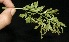  ( - BioBot10106)  @11 [ ] Copyright (2010) Unspecified Unspecified