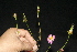  ( - BioBot10106)  @11 [ ] Copyright (2010) Unspecified Unspecified