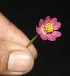  ( - BioBot10106)  @11 [ ] Copyright (2010) Unspecified Unspecified