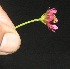  ( - BioBot10106)  @11 [ ] Copyright (2010) Unspecified Unspecified