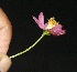  ( - BioBot10106)  @11 [ ] Copyright (2010) Unspecified Unspecified