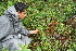 ( - BioBot10107)  @11 [ ] Copyright (2010) Unspecified Unspecified