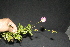  ( - BioBot10107)  @11 [ ] Copyright (2010) Unspecified Unspecified