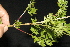  ( - BioBot10107)  @11 [ ] Copyright (2010) Unspecified Unspecified