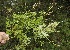 ( - BioBot10114)  @11 [ ] Copyright (2010) Unspecified Unspecified