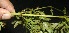  ( - BioBot10114)  @11 [ ] Copyright (2010) Unspecified Unspecified