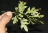  ( - BioBot10114)  @11 [ ] Copyright (2010) Unspecified Unspecified
