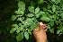  ( - BioBot00047)  @11 [ ] Copyright (2010) Unspecified Unspecified