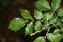  ( - BioBot00047)  @11 [ ] Copyright (2010) Unspecified Unspecified