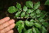  ( - BioBot00047)  @11 [ ] Copyright (2010) Unspecified Unspecified
