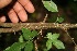  ( - BioBot00047)  @11 [ ] Copyright (2010) Unspecified Unspecified
