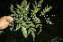 ( - BioBot00048)  @11 [ ] Copyright (2010) Unspecified Unspecified