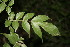  ( - BioBot00048)  @11 [ ] Copyright (2010) Unspecified Unspecified