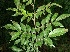  ( - BioBot00049)  @11 [ ] Copyright (2010) Unspecified Unspecified