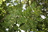 ( - BioBot00082)  @11 [ ] Copyright (2010) Unspecified Unspecified