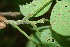  ( - BioBot00082)  @11 [ ] Copyright (2010) Unspecified Unspecified