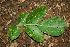  ( - BioBot00082)  @11 [ ] Copyright (2010) Unspecified Unspecified