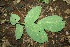  ( - BioBot00082)  @11 [ ] Copyright (2010) Unspecified Unspecified