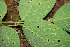  ( - BioBot00082)  @11 [ ] Copyright (2010) Unspecified Unspecified